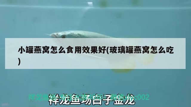 小罐燕窝怎么食用效果好(玻璃罐燕窝怎么吃)