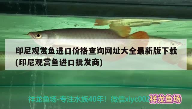 印尼观赏鱼进口价格查询网址大全最新版下载(印尼观赏鱼进口批发商) 观赏鱼进出口