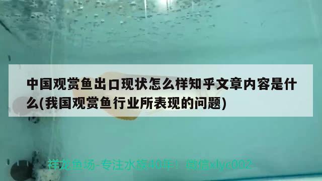 中国观赏鱼出口现状怎么样知乎文章内容是什么(我国观赏鱼行业所表现的问题) 观赏鱼进出口