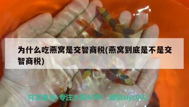 好些天没发了， 观赏鱼论坛 第2张