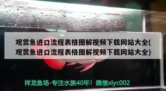 观赏鱼进口流程表格图解视频下载网站大全(观赏鱼进口流程表格图解视频下载网站大全)