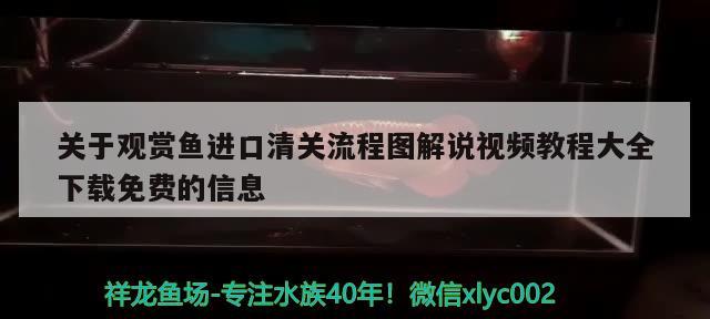 关于观赏鱼进口清关流程图解说视频教程大全下载免费的信息 观赏鱼进出口