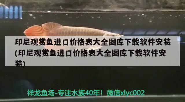 印尼观赏鱼进口价格表大全图库下载软件安装(印尼观赏鱼进口价格表大全图库下载软件安装)