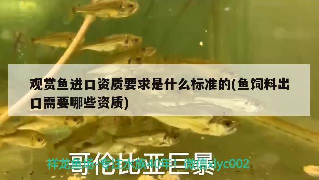 鼓楼区礼德水族店 全国水族馆企业名录 第2张