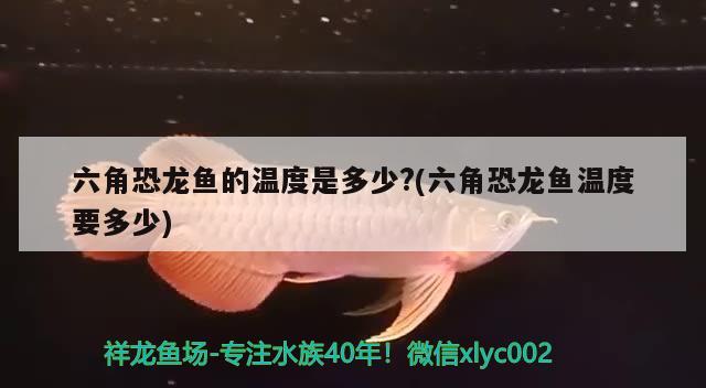 金龙鱼和蓝鲨能混养吗金龙鱼和蓝鲨能一起养吗，对应的信息别忘了，观赏鲨鱼能和金龙、银龙鱼一起养吗 银龙鱼 第2张