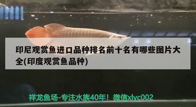 100l的鱼缸要多大流量的水 