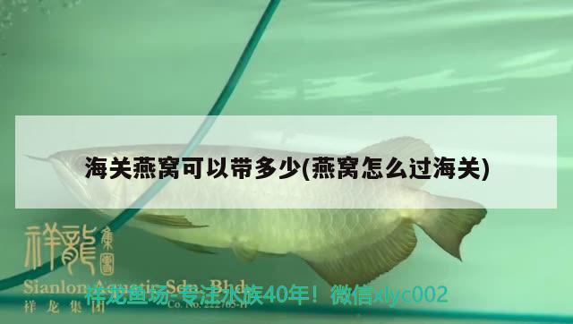 海关燕窝可以带多少(燕窝怎么过海关) 马来西亚燕窝