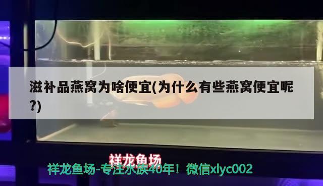 滋补品燕窝为啥便宜(为什么有些燕窝便宜呢?) 马来西亚燕窝