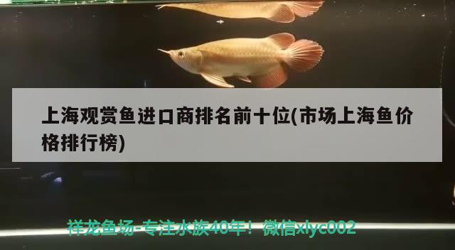 上海观赏鱼进口商排名前十位(市场上海鱼价格排行榜)