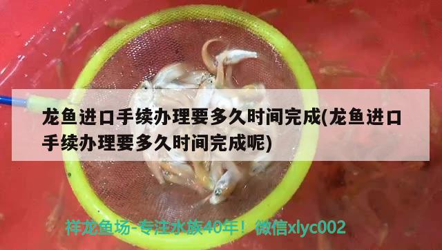 龙鱼进口手续办理要多久时间完成(龙鱼进口手续办理要多久时间完成呢)