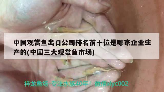 银龙鱼分类及图片（银龙鱼品相图解） 祥龙龙鱼鱼粮 第1张