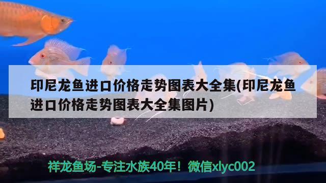 六盘水鱼缸定制厂家电话号码（六盘水鱼具店） 水族世界 第4张