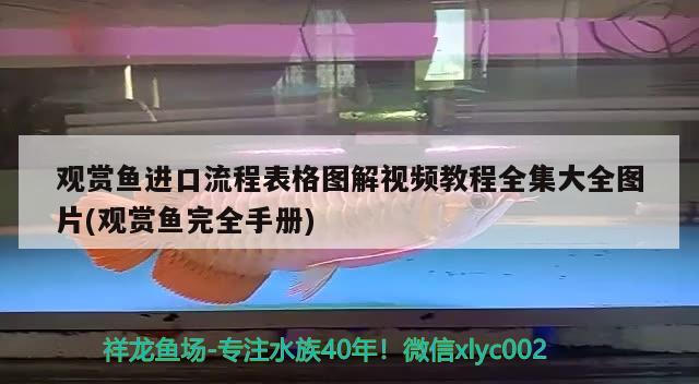 观赏鱼进口流程表格图解视频教程全集大全图片(观赏鱼完全手册)