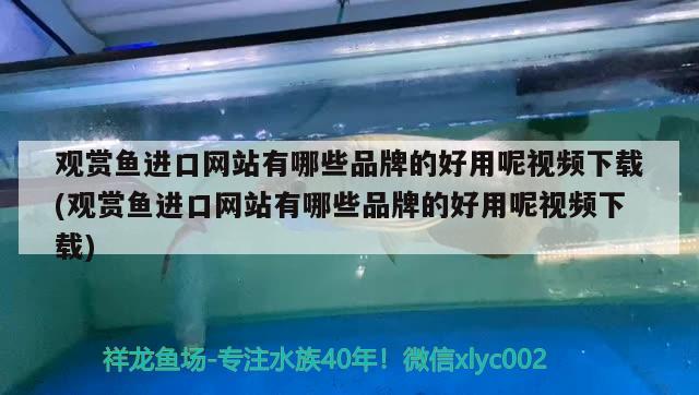 观赏鱼进口网站有哪些品牌的好用呢视频下载(观赏鱼进口网站有哪些品牌的好用呢视频下载)