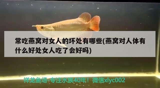 银龙鱼的形态特征和繁殖方法，你了解多少？，银龙鱼下蛋怎么孵化和银龙鱼的形态特征和繁殖方法