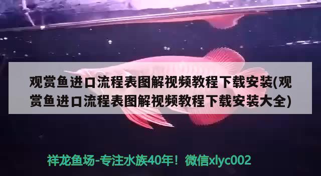 鱼缸滤水器不出水咋回事视频（鱼缸滤水器不出水咋回事视频讲解）