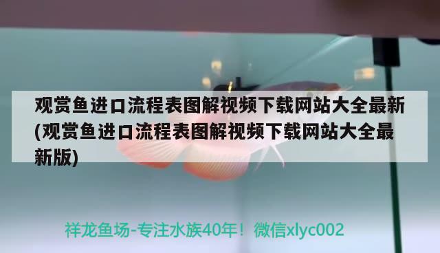 观赏鱼进口流程表图解视频下载网站大全最新(观赏鱼进口流程表图解视频下载网站大全最新版)