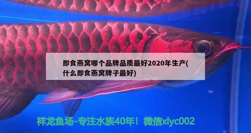 即食燕窝哪个品牌品质最好2020年生产(什么即食燕窝牌子最好)