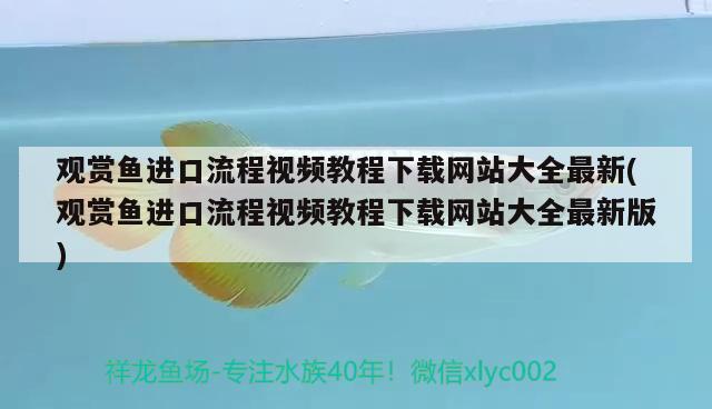 观赏鱼进口流程视频教程下载网站大全最新(观赏鱼进口流程视频教程下载网站大全最新版) 观赏鱼进出口