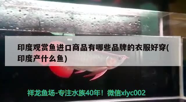 合肥哪里有卖鱼缸的地方？合肥市鱼缸购买指南鱼缸种类，合肥哪里有卖鱼缸的地方合肥哪里有卖鱼缸的地方 潜水艇鱼 第3张