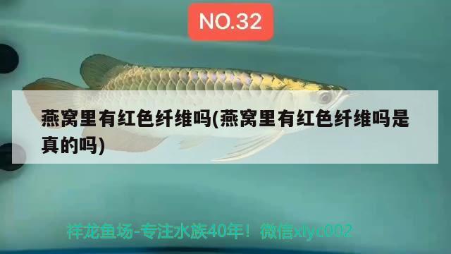 山东锐驰机械有限公司介绍，问一下泰安鱼缸什么地方有卖 养鱼的好处 第2张