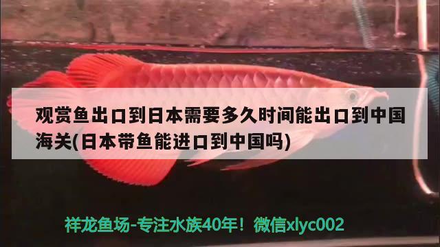 观赏鱼出口到日本需要多久时间能出口到中国海关(日本带鱼能进口到中国吗)