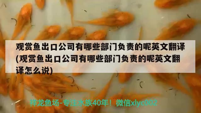 观赏鱼出口公司有哪些部门负责的呢英文翻译(观赏鱼出口公司有哪些部门负责的呢英文翻译怎么说)