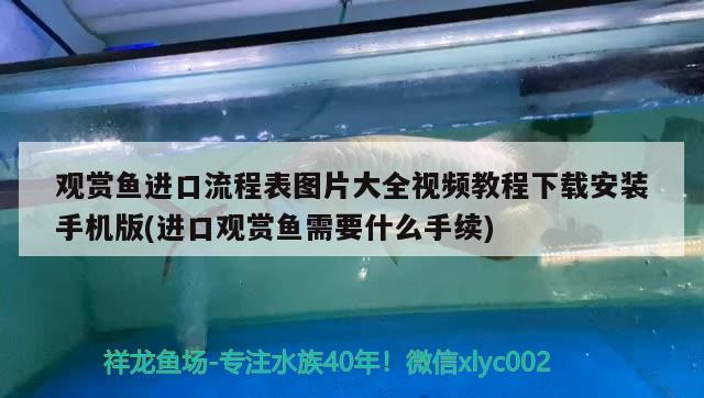 观赏鱼进口流程表图片大全视频教程下载安装手机版(进口观赏鱼需要什么手续)