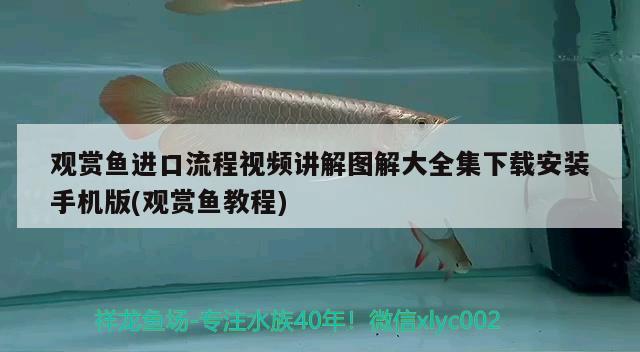 观赏鱼进口流程视频讲解图解大全集下载安装手机版(观赏鱼教程)