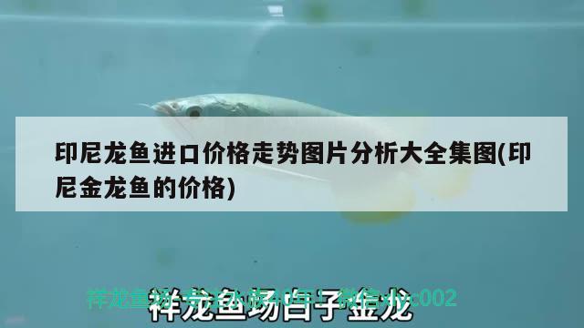 森森鱼缸灯led灯（森森鱼缸灯光设置） 魟鱼百科 第3张