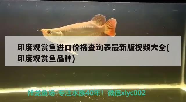 印度观赏鱼进口价格查询表最新版视频大全(印度观赏鱼品种) 观赏鱼进出口