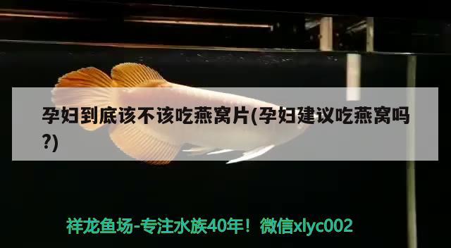 呼伦贝尔鱼缸制作公司电话号码：呼伦贝尔垂钓