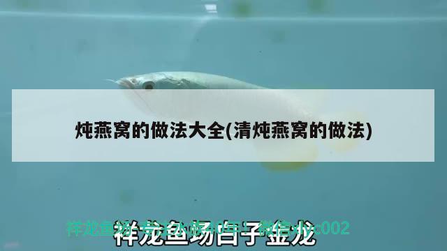 湛江鱼缸修理电话号码查询电话是多少(湛江鱼缸定制)