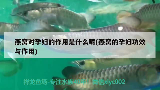 鱼缸加热棒哪里有卖的呀（鱼缸加热棒什么牌子好） 鱼缸风水 第5张