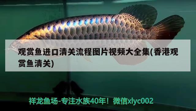 盘锦市大洼区珍爱水族馆（盘锦市大洼区珍爱水族馆电话） 全国水族馆企业名录 第1张