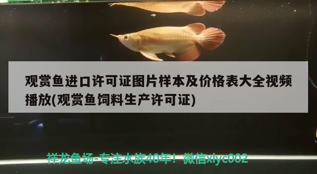 观赏鱼进口许可证图片样本及价格表大全视频播放(观赏鱼饲料生产许可证)