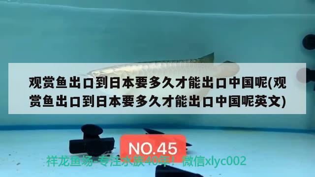 观赏鱼出口到日本要多久才能出口中国呢(观赏鱼出口到日本要多久才能出口中国呢英文) 观赏鱼进出口