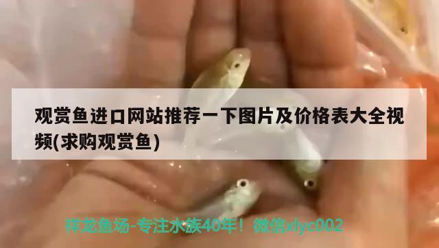 观赏鱼进口网站推荐一下图片及价格表大全视频(求购观赏鱼) 观赏鱼进出口