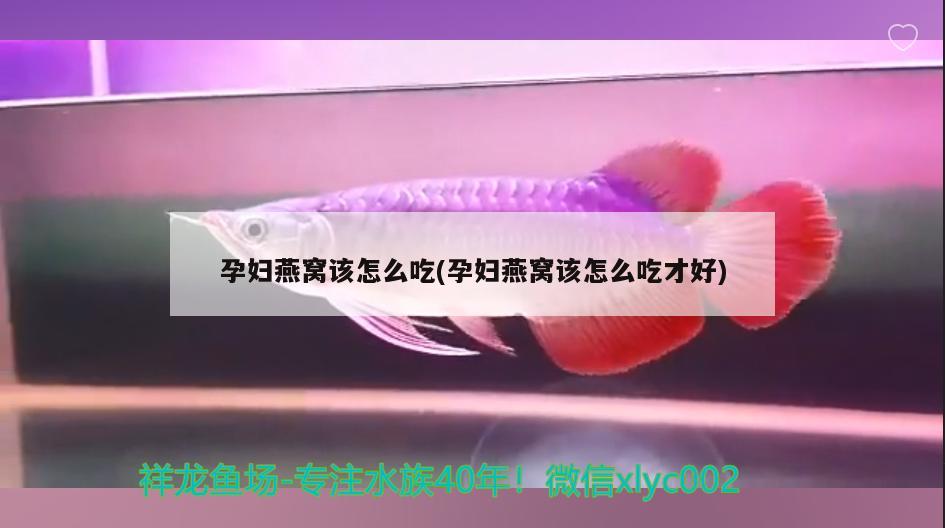 孕妇燕窝该怎么吃(孕妇燕窝该怎么吃才好) 马来西亚燕窝