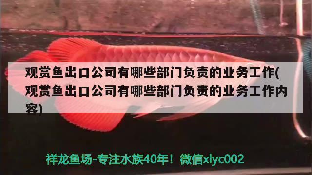 观赏鱼出口公司有哪些部门负责的业务工作(观赏鱼出口公司有哪些部门负责的业务工作内容)