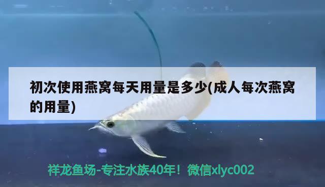 观赏鱼进口网站推荐大全图片及价格表(观赏鱼批发网站) 观赏鱼进出口