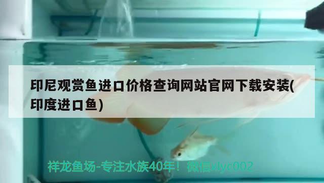 印尼观赏鱼进口价格查询网站官网下载安装(印度进口鱼) 观赏鱼进出口