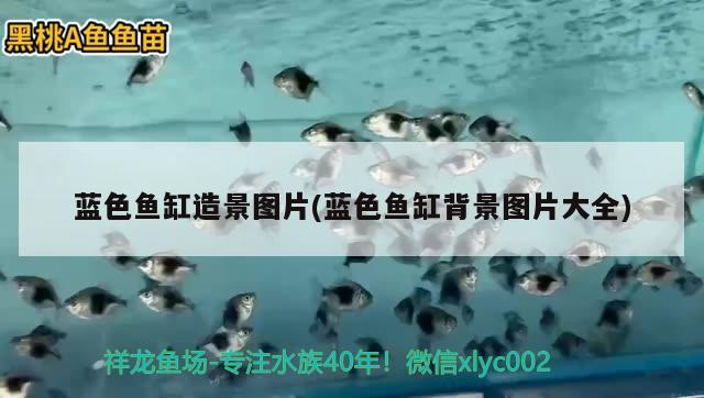 蓝色鱼缸造景图片(蓝色鱼缸背景图片大全) 水族灯（鱼缸灯）