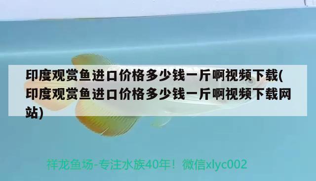 兴平金龙鱼招聘网（兴平金龙鱼厂待遇咋样） 稀有金龙鱼 第3张