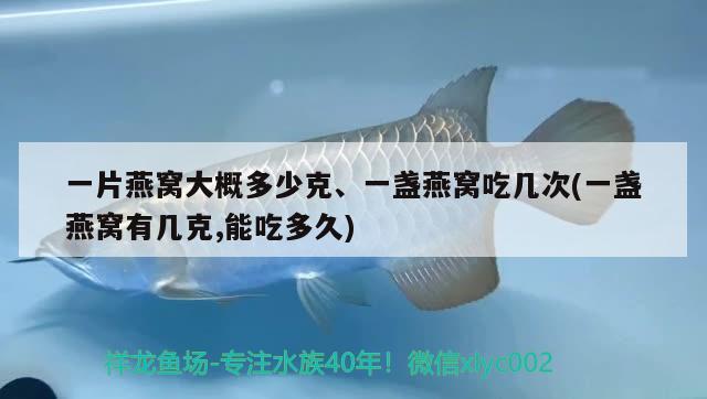 一片燕窝大概多少克、一盏燕窝吃几次(一盏燕窝有几克,能吃多久)