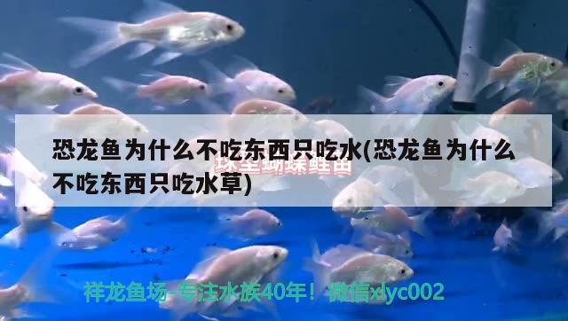 大鱼缸安装流程图视频：大鱼缸的安装方法