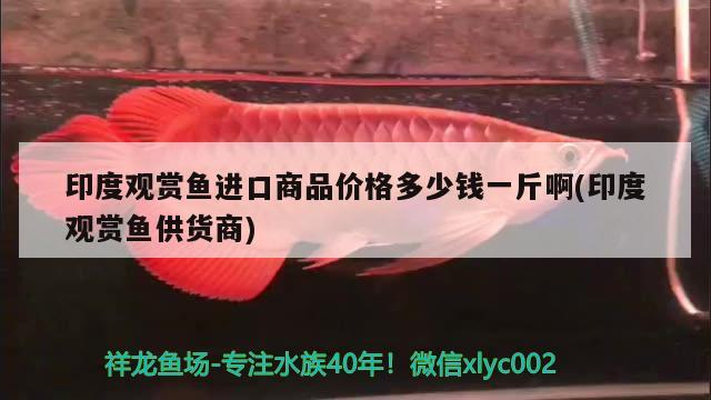 鱼缸渗水怎么补漏水视频：鱼缸渗水怎么补漏水视频讲解 观赏鱼市场 第3张