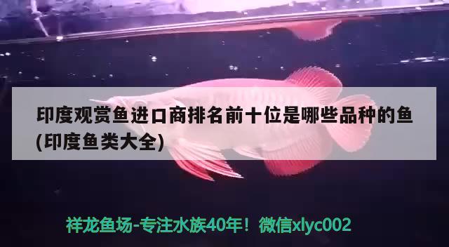 进口燕窝和国产燕窝区别是什么意思啊(进口燕窝和国产燕窝区别是什么意思啊) 马来西亚燕窝