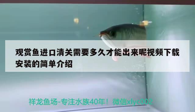 观赏鱼进口清关需要多久才能出来呢视频下载安装的简单介绍 观赏鱼进出口