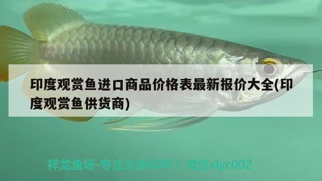 印度观赏鱼进口商品价格表最新报价大全(印度观赏鱼供货商) 观赏鱼进出口